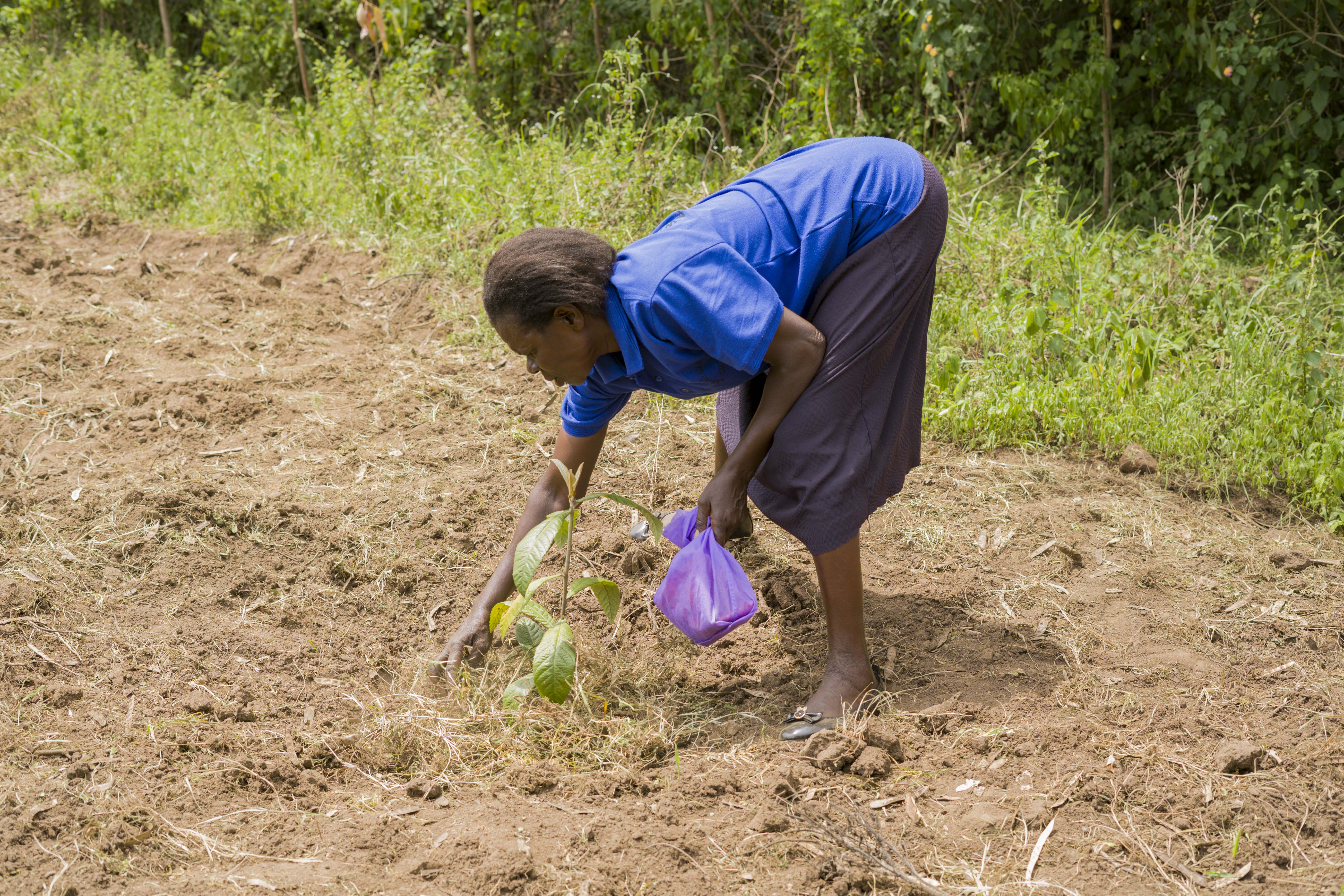Seeds of Change: Agroecology Training in Nyatike
